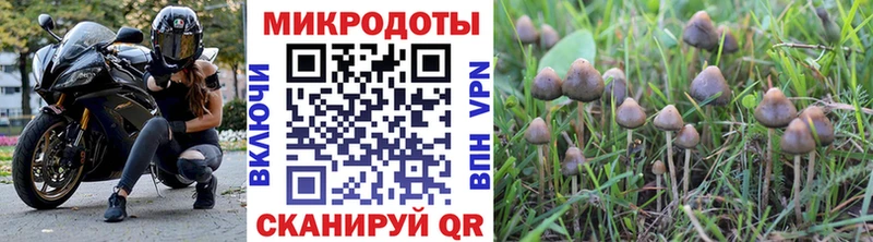 где найти Кяхта Галлюциногенные грибы мухоморы